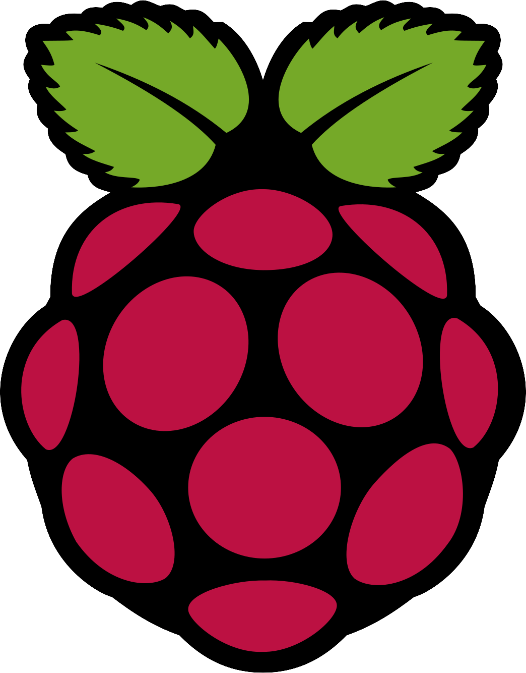 Raspberry